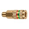 Tru-Flate UNIV COUPLER IM 1/4""MNPT 13-513